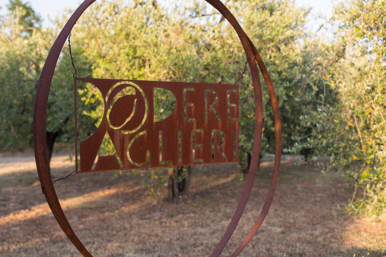 Podere Paglieri Apartments Montespertoli Kültér fotó